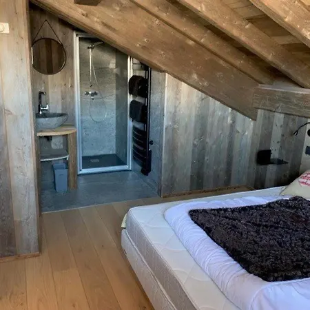 Duplex 11 Pers. Au Centre De Crest-voland, Cheminee, Ski-room, Wifi, Non Fumeurs - Fr-1-733-36 شاليه